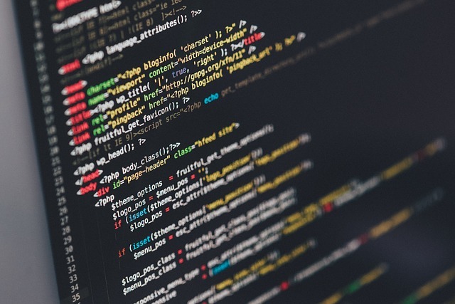 <span style="font-weight: bold;">IT & Software </span>
